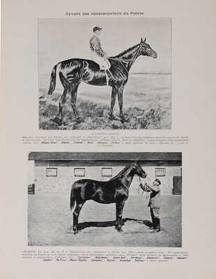 Максимович Л.К. Иллюстрированный альбом рысистого и скакового спорта и перечень русских конных заводов. М.: , 1905.